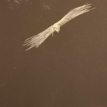 Sobrevolando el Espacio-Tiempo